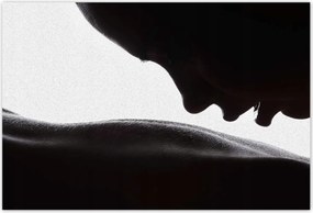 Poszterek 200x135 Aktok Meztelenség Szerelem Fotó