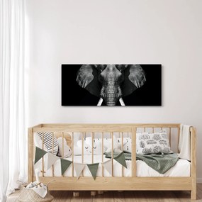 Kép - Elefánt fekete háttérrel (120x50 cm)