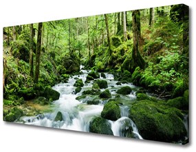 Vászonkép nyomtatás Forest Stream River Falls 100x50 cm
