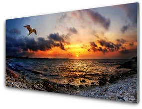 Modern üvegkép Sea Gull Beach Landscape 120x60cm 2 fogas