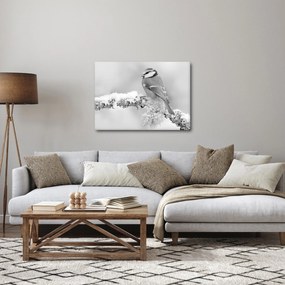 Kép - Egy madár egy ágon (70x50 cm)
