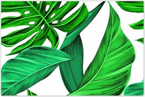 Poszterek 120x80 Zamatos Monstera Trópusok