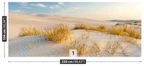 Fotótapéta Balti-tenger Dunes 104x70 cm