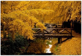 Poszterek 200x135 Tájkép Látvány