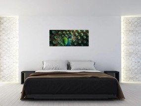 Kép – Pávatoll (120x50 cm)