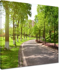 Vászonkép 40x40 Ösvény a parkban természet