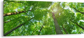 Kép - Erdő (120x50 cm)