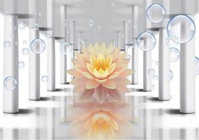 Fotótapéta Alagút 3D Virágok Liliom Tapéta Hálószoba Nappali 368x254