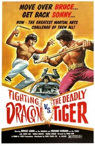 Illusztráció Fighting Dragon Vs Deadly Tiger