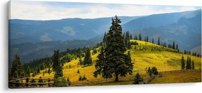 Kép - Hegyi rét (120x50 cm)
