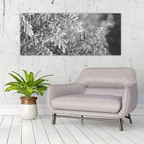 Kép - Lucfenyő erdő (120x50 cm)