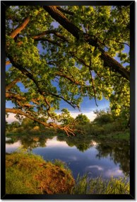 Poszterek keretben 40x60 Tölgy a croissant-ban