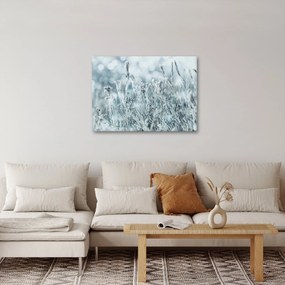 Kép - Téli varázslat (70x50 cm)