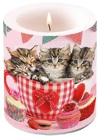 Cats in Tea Cups átvilágítós gyertya 10x10cm