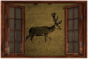 Poszterek 60x40 Szarvas