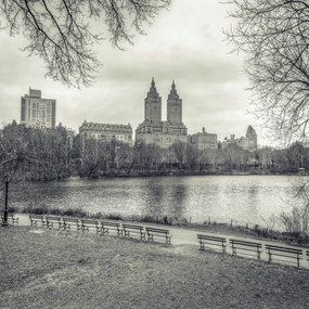 Poszter 50x50cm Alsó-Manhattan panoráma a Central Parkból 3, Assaf Frank