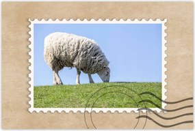 Poszterek 120x80 Bárány legeltetés közben