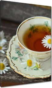 Vászonkép 70x100 Kamilla tea