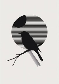 Poszter 59,4x84,1cm Kontraszt Karcsúság