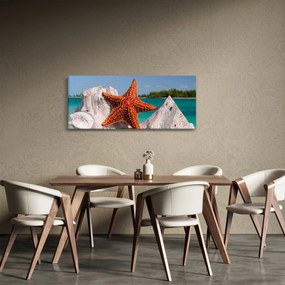 Egy tengeri csillag képe (120x50 cm)