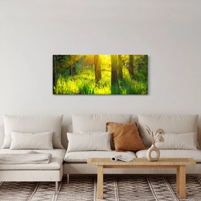 Kép - Az erdő tavaszi ébredése (120x50 cm)