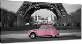 Vászonkép 115x55 Púderrózsaszín Párizsban