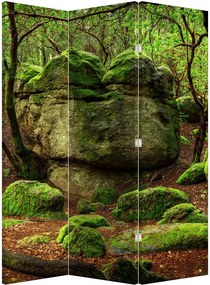 Paraván - Varázslatos erdő (126x170 cm)