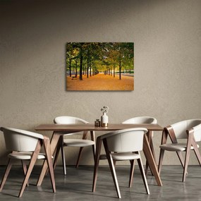 Egy kép az őszi fák sikátorából (70x50 cm)