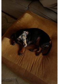 Rózsaszín puff More – Karup Design