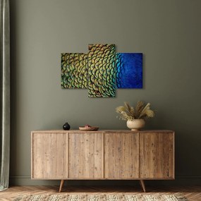 Kép - Pávatollak (90x60 cm)