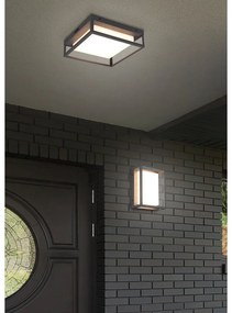 LED fali kültéri lámpa (magasság 10 cm) Witham – Trio