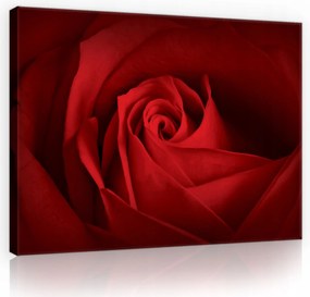 Vászonkép Virágok Vörös Rózsa Vászon Fal Modern Hálószoba 100x70
