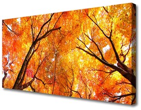 Vászonkép falra fák Természet 100x50 cm