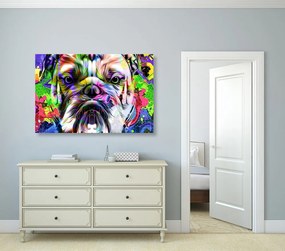 Kép pop art francia bulldog