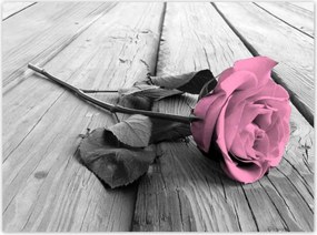 Poszterek 135x100 Púderrózsa a deszkákon