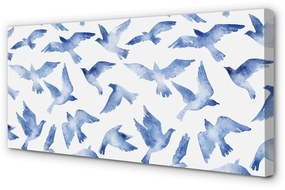 Canvas képek festett madarak 120x60 cm