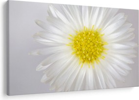 Kép - Margarita (90x60 cm)