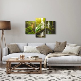 Kaméleon képe (90x60 cm)