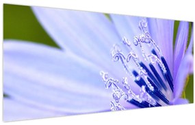 Kép - Virág (120x50 cm)