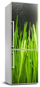 Hűtő matrica Fűszál FridgeStick-70x190-f-108879645