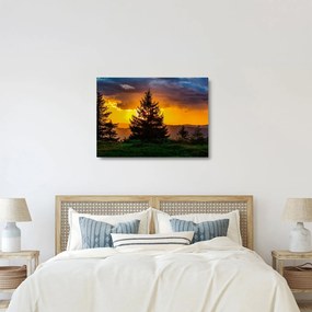 Kép - tűlevelűek (üvegen) (70x50 cm)
