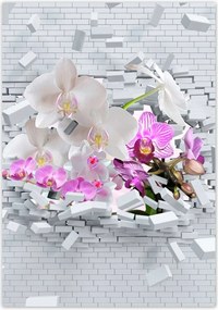 Poszterek 70x100 Orchidea a falban