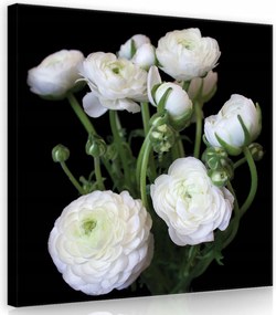 Vászonkép 80x80 Fehér virágok csokor fekete háttér kontraszt finom nyugalom