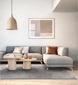 Szürke gyapjú szőnyeg 200x300 cm Tizo – Agnella