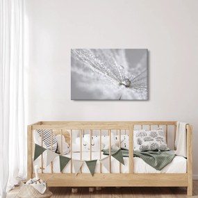 Kép - Egy csepp víz (90x60 cm)