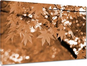Vászonkép 90x60 Szépia Őszi levelek