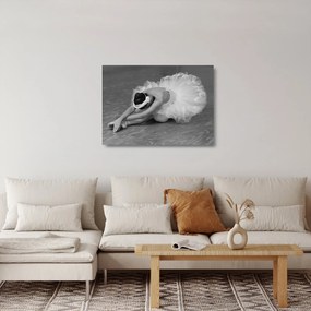 Üveg kép - Balerina, fekete-fehér (70x50 cm)