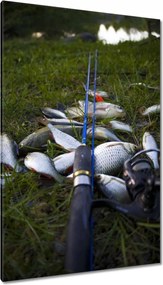 Vászonkép 80x120 Kis halak a fűben