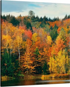 Vászonkép Színes Levelek Fák Ősz Természet 80x100 cm