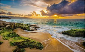 Divatos Flizelin Tapéta Ragasztóval Fali 3D Tengeri harmónia 416x254 Ragasztó